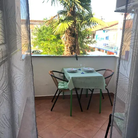 Vojvoda Apartman *