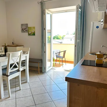 Vojvoda Apartment