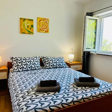 Vojvoda Apartment *